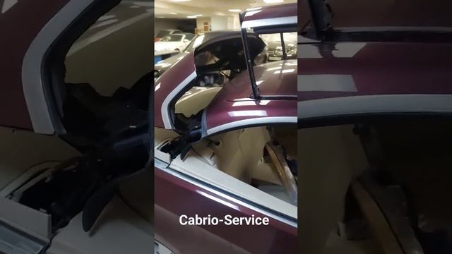 Фитнес-Приключения