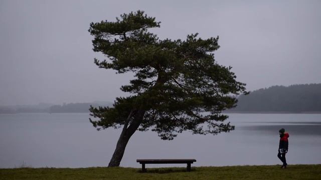 KPK. Pristatoma Lorenos Hickok knyga „Helenos Keler istorija“ смотреть онлайн