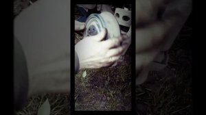 Замена колодок  заднего колеса на Нексии N150