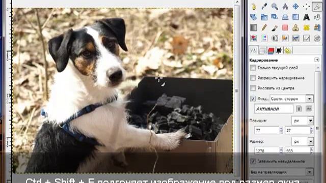 Знакомство с Gimp. Эпизод 2. Подготовка фотографии для web смотреть онлайн
