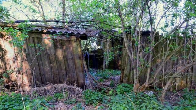 Забытая деревня . смотреть онлайн