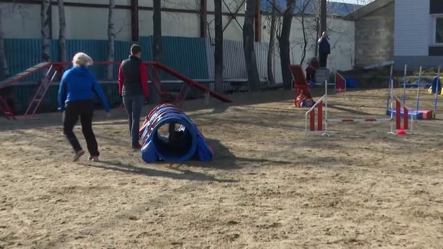 Борьба на поясах, аджилити и дзюдо. "На Здоровой волне" 03.12.21 смотреть онлайн