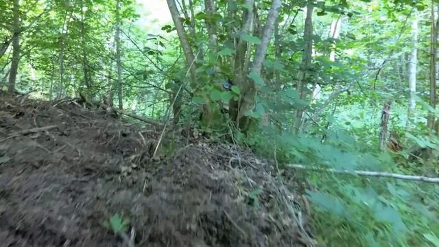 ЭТО ВАМ НЕ 6 соток, ДЖУНГЛИ НА ХУТОРЕ смотреть онлайн
