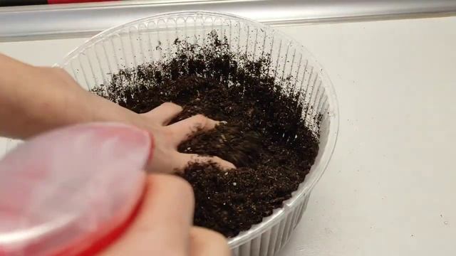 СтройТехнологии