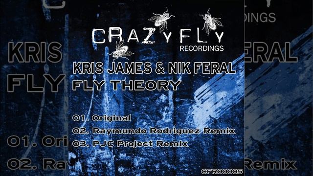 Fly Theory (Raymundo Rodriguez Remix) смотреть онлайн