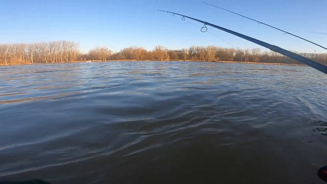 Maumee River Walleye Run First Limit Of The Year смотреть онлайн
