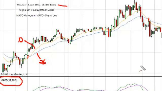 MACD Explained - Rekha's Training смотреть онлайн