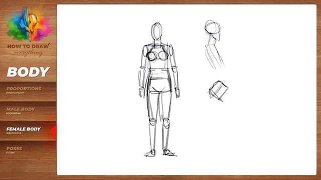 HOW TO DRAW BODIES [Proportions - Male - Famale - Poses]. Easy Drawing Tutorial For Beginners