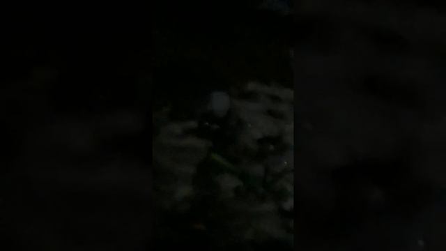 Упали в дамбу😮😣 смотреть онлайн
