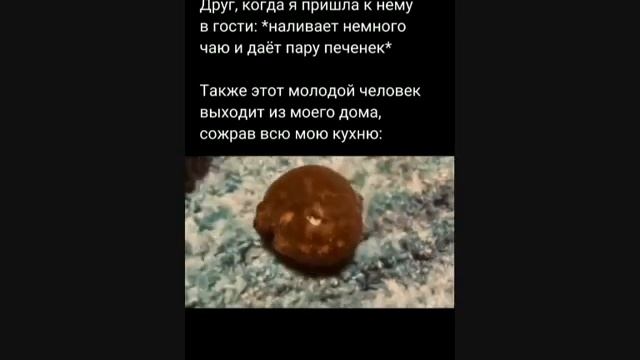 122. Тик-ток уверен в себе.mp4 смотреть онлайн