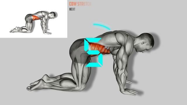 Strong and Unrivaled! If You Do These Exercises Every Morning смотреть онлайн