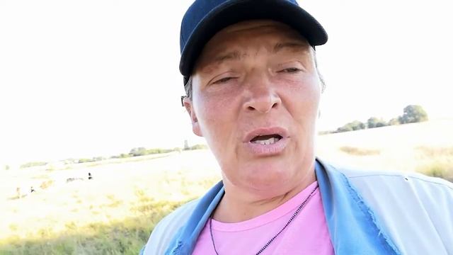 Укус змеи смотреть онлайн