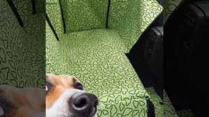 Автогамак для перевозки Собак в автомобиле - Обзор. ?  Как Возить Собаку в Машине?