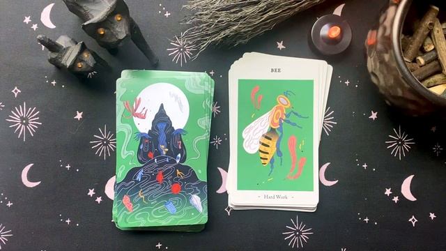 "Oracle of Novice Witches" - Deck Walkthrough смотреть онлайн