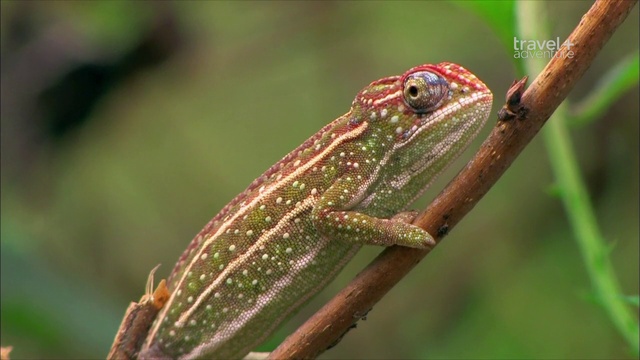 5 серия смотреть онлайн