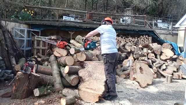 Makita DCS34 Chainsaw. Beautiful logging Saw. Taking a break from my Jonsereds 80 to rest my arms ? смотреть онлайн