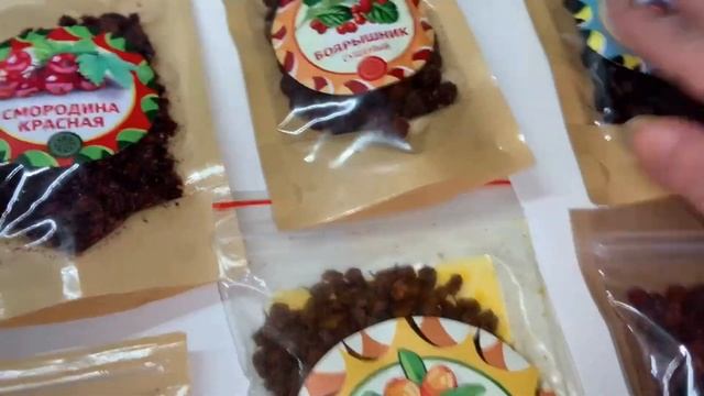 Получила очередные ягодки для полезный чайков. смотреть онлайн