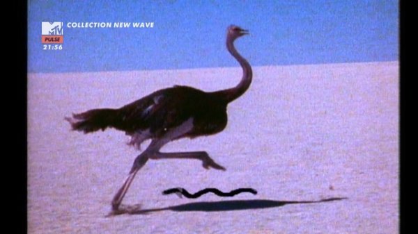 Talk Talk - Its My Life  MTV PULSE HD