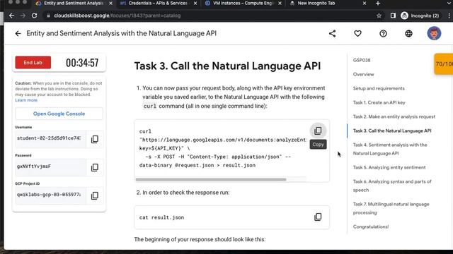 Entity and Sentiment Analysis with the Natural Language API GSP038 смотреть онлайн