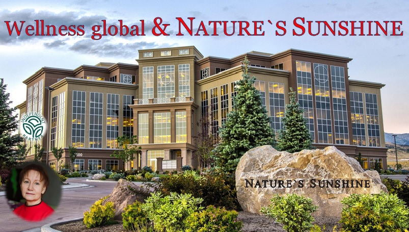 Выбрать лучшее... / Презентация NSP.mp4