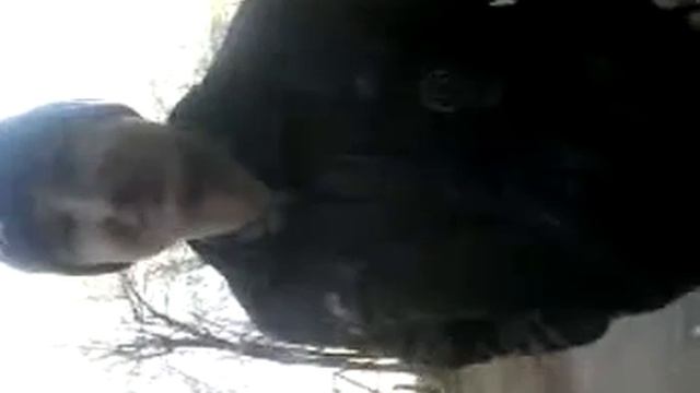 приблатненный чувак смотреть онлайн