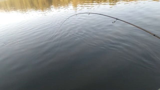 Как мы вытаскивали моего первого сома (15.3 кг) смотреть онлайн