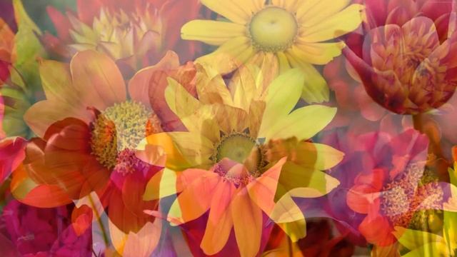 download summer wallpaper смотреть онлайн