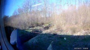 Калининград-Южный   -  Светлогорск 2 из окна "Ласточки"