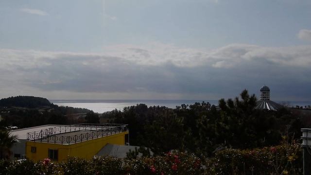 그냥숮이：12월의 제주에서 귤·겨울바다·딱새우회·동백꽃과 함께한 VLOG