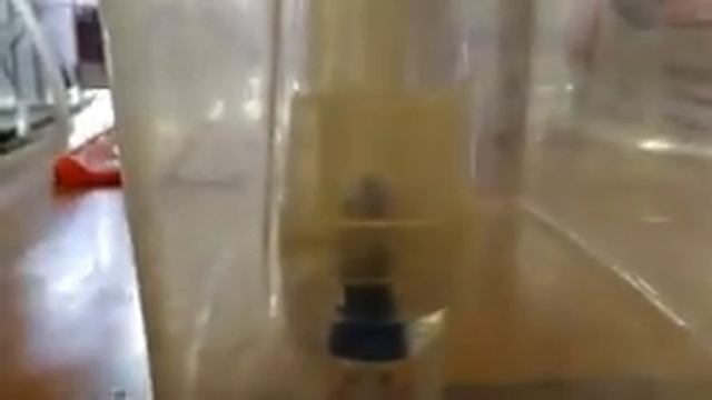 Мастерство и Стремление к Совершенству