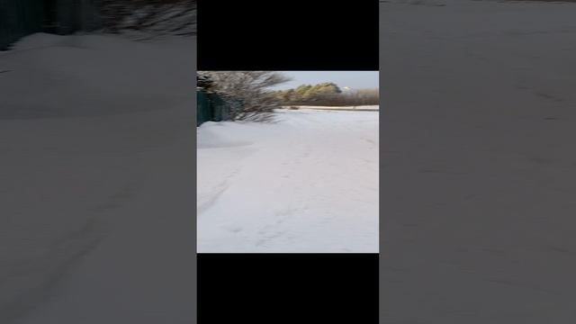 Прогулка , по Перелескам