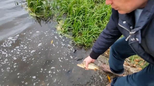 ?Додали трохи життя у наше Ковельське водосховище смотреть онлайн