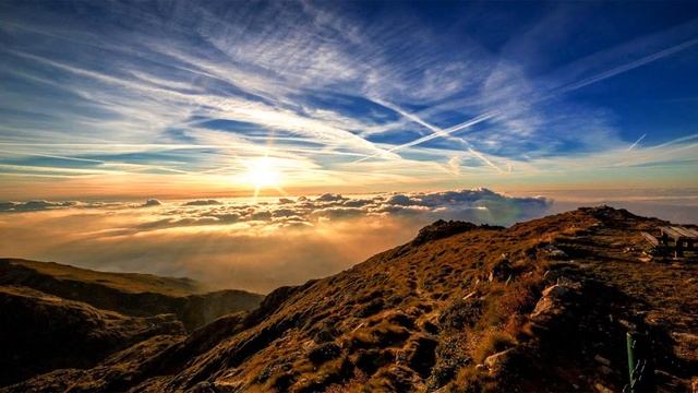 Одно я, одно сознание (Роберт Адамс.НикОшо) смотреть онлайн