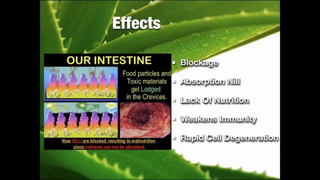 ? forever living aloevera gel deeply knowledge #flpindia #aloevera #varvadisicmiller #officialvideo смотреть онлайн