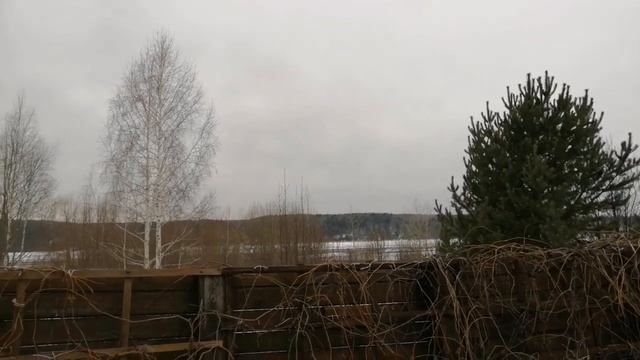 Весна! Дача! Красиво просыпается сад! смотреть онлайн