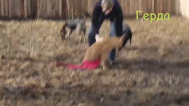 Герда смотреть онлайн