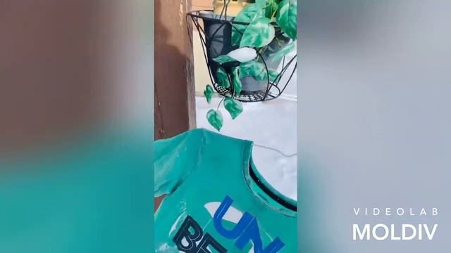 -38 🌡 within 1 minute T-shirt turn into cardboard #freezing смотреть онлайн