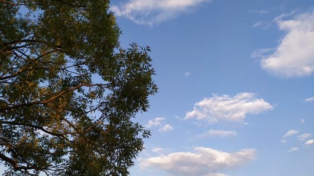 ✨?✨ ЛУННЫЙ ПРОГНОЗ НА 17 ИЮЛЯ ✨?✨ смотреть онлайн