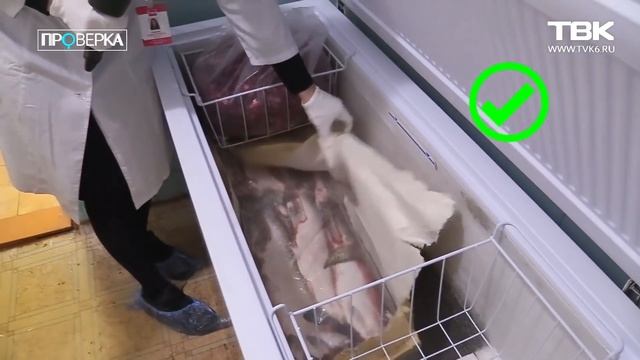 «Проверка» ТВК в красноярском детском саду №295 смотреть онлайн