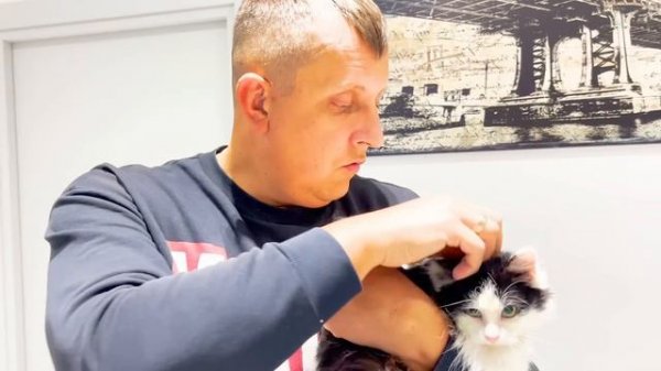 БАТЯ ПРИТАЩИЛ ДОМОЙ ОБЛЕЗЛОГО КОТА. НОВЫЙ ДРУГ. БРОС ШОУ ПЕТ