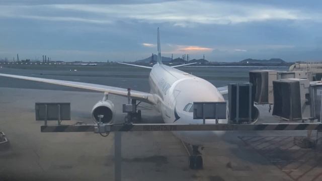 HKIA view смотреть онлайн