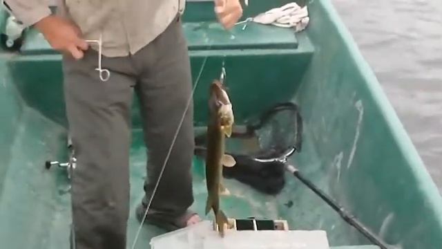 Рыбалка. Спининг. Щука. смотреть онлайн