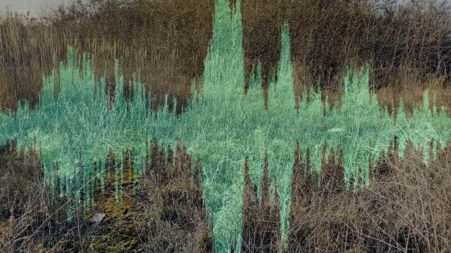 Аповяд мясцовых жыхароў Левошэк пра капліцу смотреть онлайн