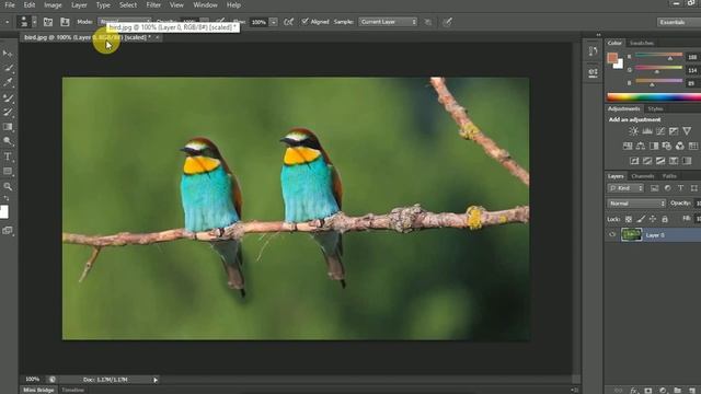 clone and pattern stamp tool in photoshop | Photoshop tool | photoshop editing | photoshop cc смотреть онлайн