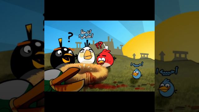 o iceberg de angry birds .... смотреть онлайн