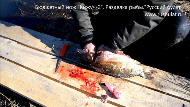 Бюджетный нож Кижуч-2. Разделка рыбы. смотреть онлайн