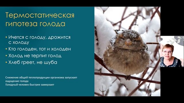 Сытое брюхо на ученье глухо: Физиология голода и сытости смотреть онлайн