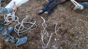 Путы для лошадей из китайских мешков/ Fetters for horses from Chinese bags