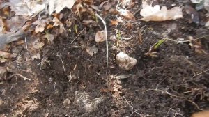 КРЫМСКИЙ КОП 2020  ВИДЕОЗАРИСОВКИ №4