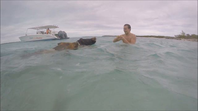 Багамы: кто сказал, что в Литве любят свинину? смотреть онлайн